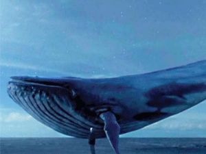 Mavi Balina oyunu çocukları nasıl öldürüyor?