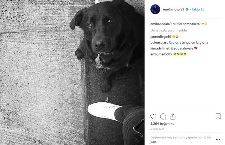 Sala'nın köpeği hala bekliyor 7