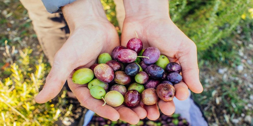 Tüketmeyen bin pişman!