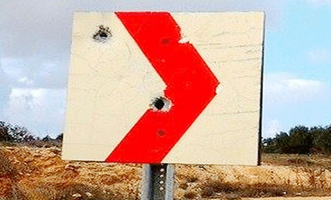 Yaban bitti sıra tabelalara geldi