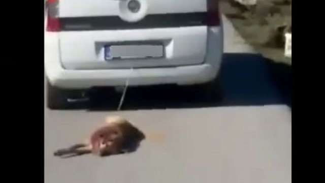 Adana'da köpeğini, aracın arkasında sürükleyen sürücüye para cezası