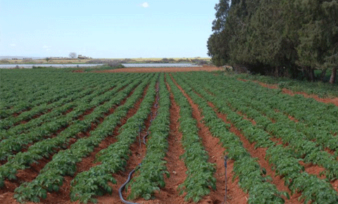 Üretici “icraat” bekliyor