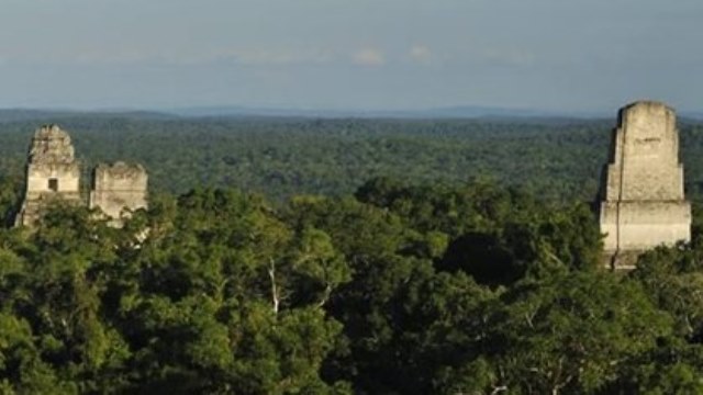 Guatemala'da ormanın altında Maya kenti bulundu