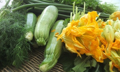 Doğada yetişen ürünlere yoğun ilgi