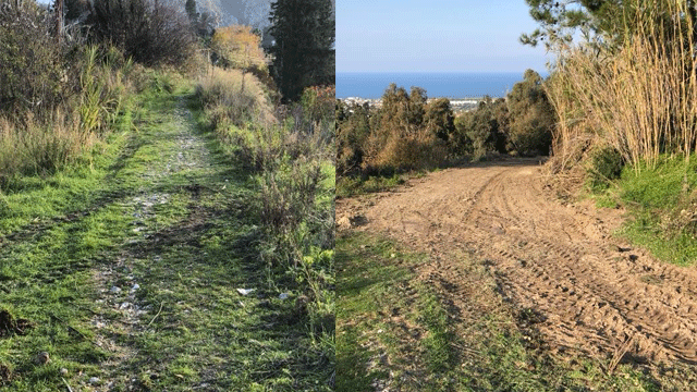 Tarihi yol mahvedildi