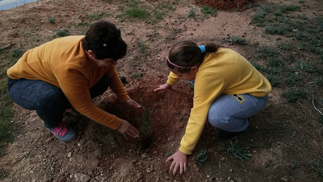 KKTC Alevi Kültür Merkezi Gazimağusa Şubesi ağaç dikti