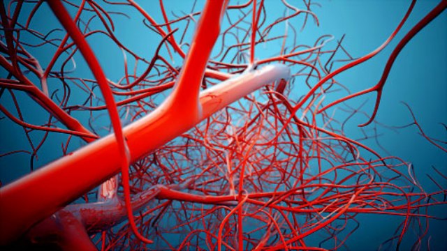 Damarları temizleyen 10 yiyecek