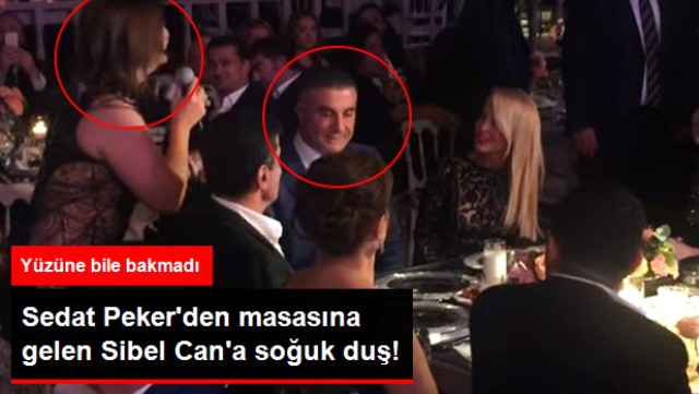 Sedat Peker, Eşinin Yanında Sibel Can'ın Yüzüne Bakmadı