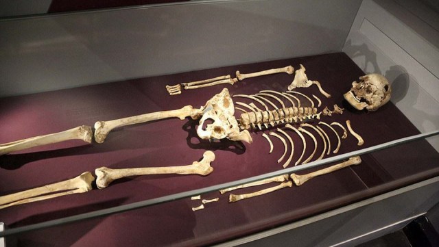 Her 10 İngilizden birinin atası: Cheddar Man