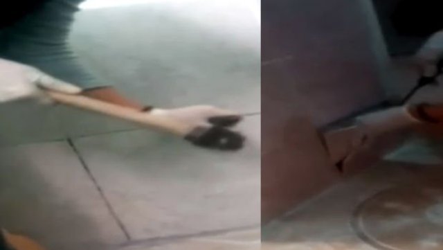 Duvarın içinden cephanelik çıktı