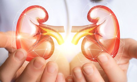 Güney Kıbrıs’ta 50 hasta böbrek nakli bekliyor