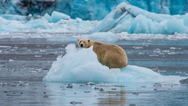 Bilim insanları uyardı: Küresel deniz seviyesindeki artış hızlanıyor