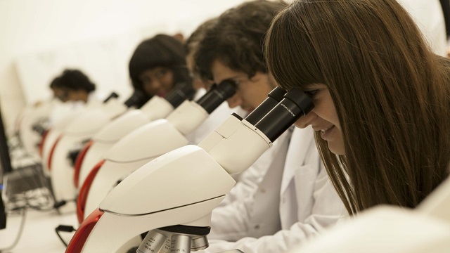 DAÜ’de Çocukluk Çağı Sarkomları Kursu gerçekleştirilecek