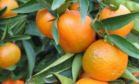 Rutin denetim değil, belli noktalar incelendi