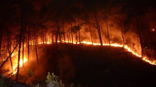Orman yangını aşırı sıcaklardan çıkmamış
