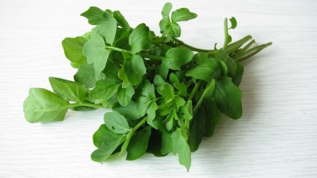 Kışın sağlık için roka ve tere tüketin!