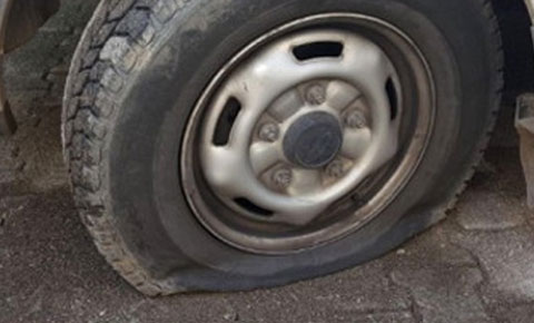 Birbirine kin kustular