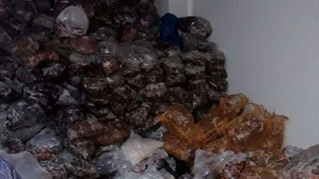 Erzurum'da kaçak kesim operasyonu