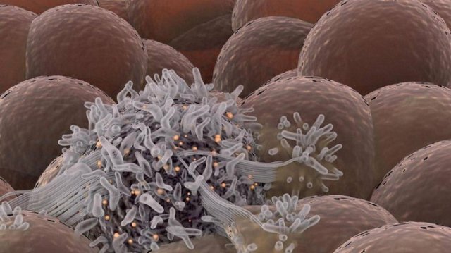 Kanser tedavisinde DNA nanorobotları devrede