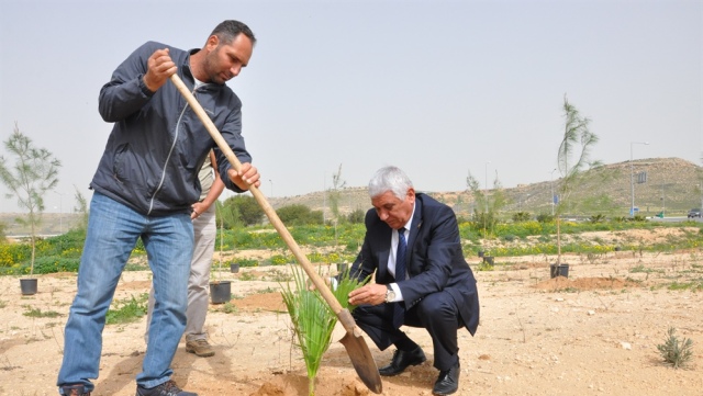 Serhatköy’e 300 fidan ekildi