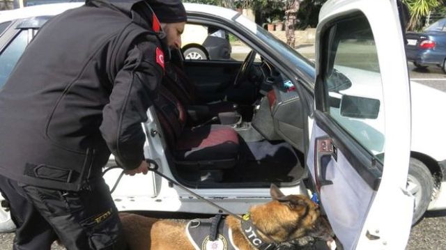 İstanbul'da "Kurt Kapanı 15" denetimi