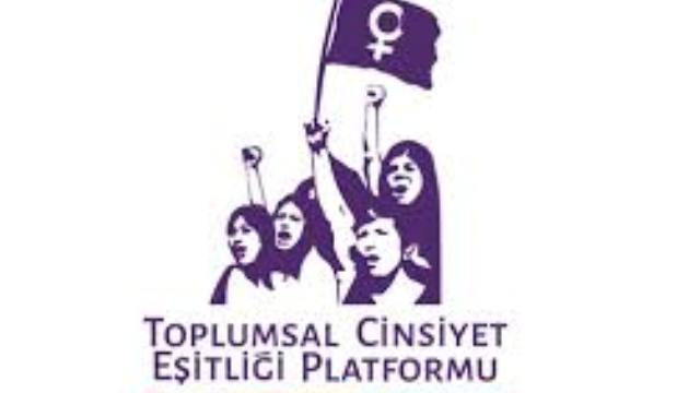 TCEP: “Toplumsal Cinsiyet Eşitliği Dairesi kısa zamanda faaliyete geçirilmeli”