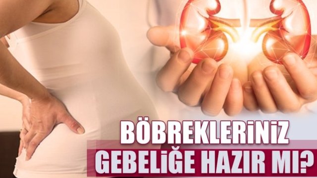 Böbrekleriniz gebeliğe hazır mı?