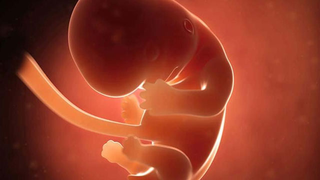 Bebeği daha doğmadan kucağa almanın yolu bulundu