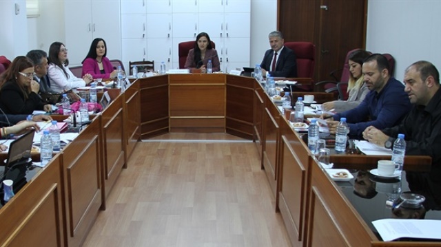 Cumhuriyet Meclisi, İdari, Kamu ve Sağlık İşleri Komitesi toplandı