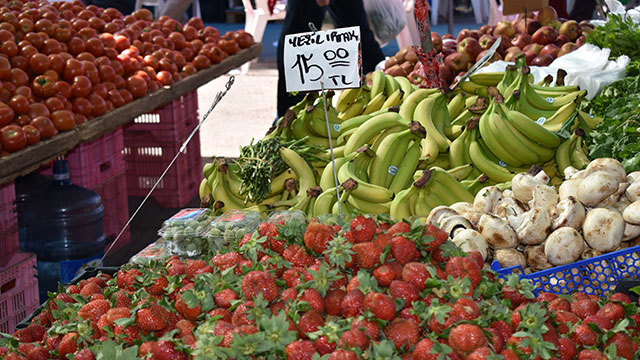 Rumlar, yoğun ilgi gösterdi