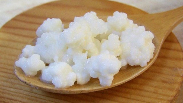 Kefir diyeti haftada 4 kilo verdiriyor!