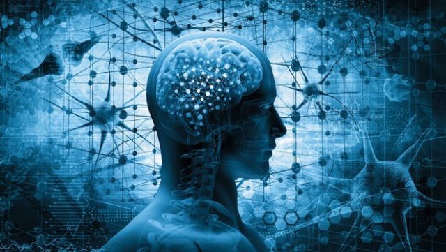 Genlerin empati kurmaktaki rolü keşfedildi