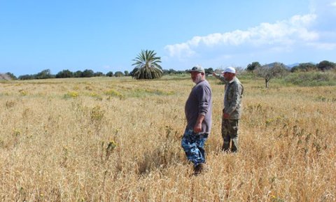 Kuraklık kabusu geri döndü
