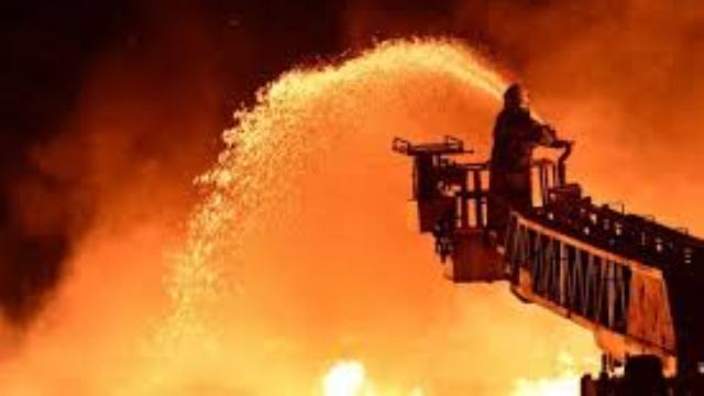 Muğla'da orman yangını