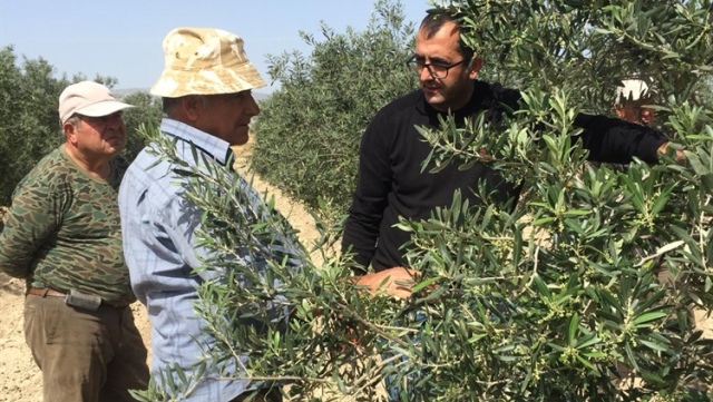 Tarım Dairesi Geçitkale’deki üreticilere eğitim verdi