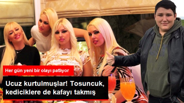 Tosun'un Merakına Bak! Sahte Hesap Açıp Kedicikleri Takibe Almış