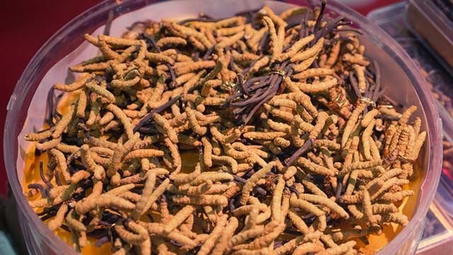 Astımdan kansere kadar her derde deva!