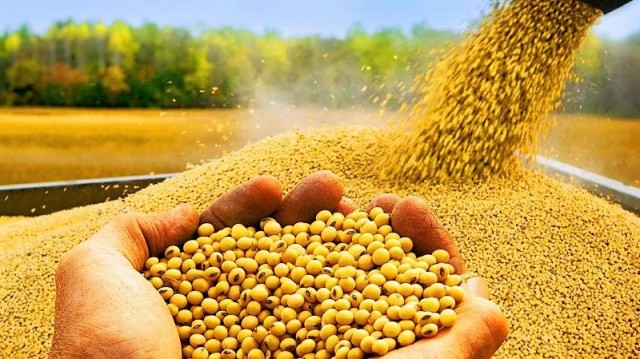 Su İşleri Dairesi çiftçileri uyardı “Yeni ekim-dikim yapmayın”