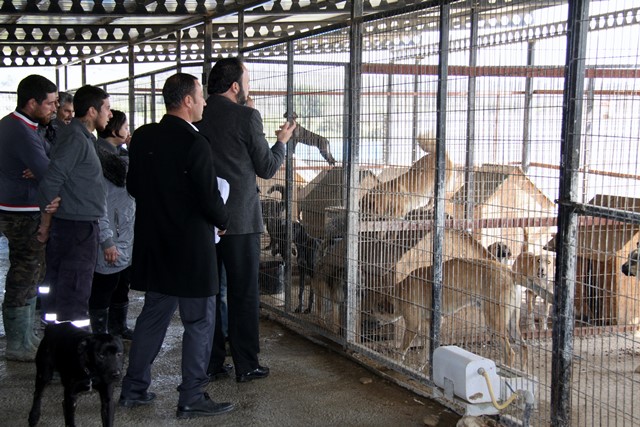 İskele’deki barınak karantinaya alındı