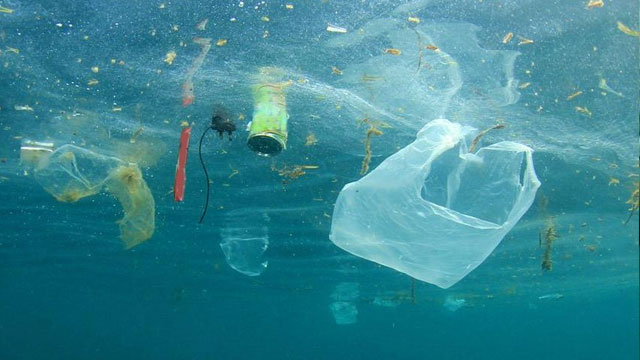 Geri dönüşümde plastik yiyen enzim umudu