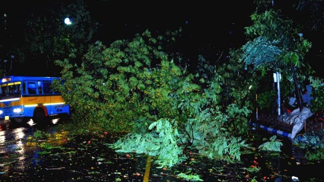 Hindistan'da fırtına: 10 ölü