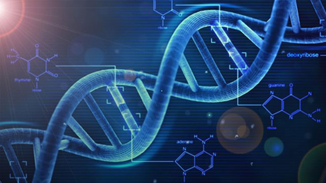 DNA örneğinden saç, göz ve cilt rengini tahmin eden cihaz