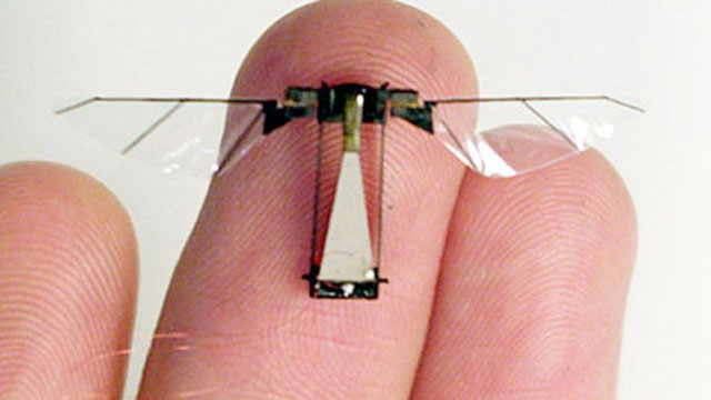 Kürdan ağırlığında robot böcek üretildi