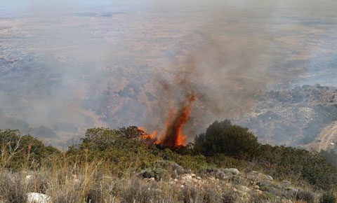 Limasol kazasında büyük yangın