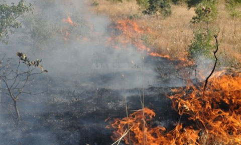 Pirgo’daki yangın kontrol altına alındı