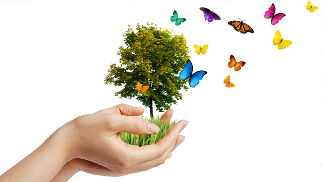 22 Mayıs Uluslararası Biyolojik Çeşitlilik Günü…