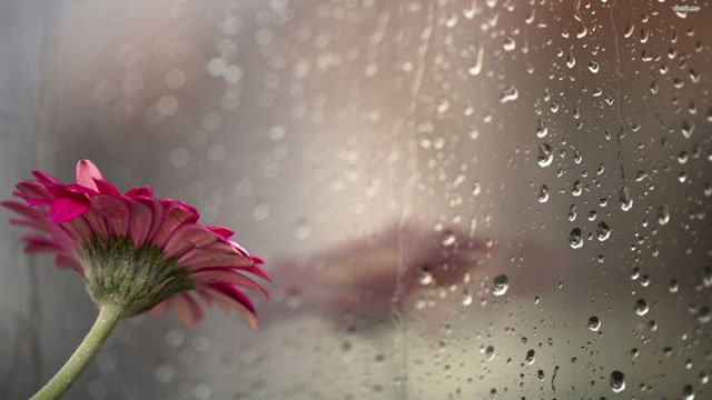 Meteoroloji Dairesi: “Bugünden itibaren 1 hafta yağmur bekleniyor”