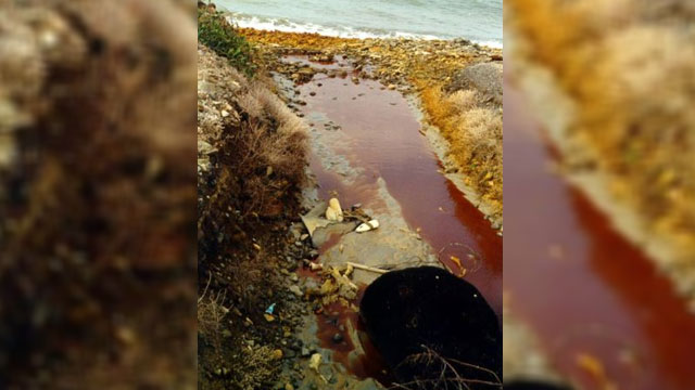 Lefke’de CMC önünde “Süpürgeni Kap Gel” eylemi yapılacak