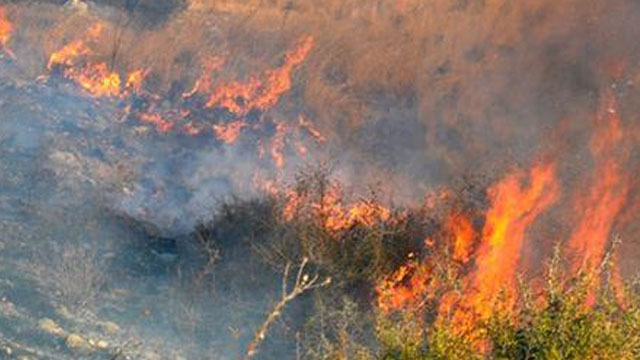 Limasol’a bağlı Alassa köyünde yangın...
