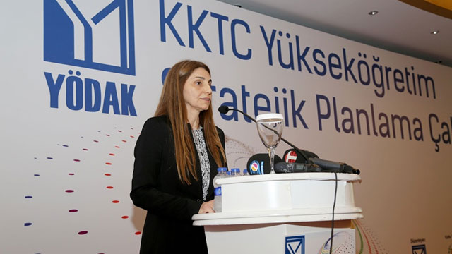 TIĞ İŞİ PARMAKSIZ ELDİVEN YAPIMI TIĞ İŞİ PARMAKSIZ ELDİVEN YAPIMI